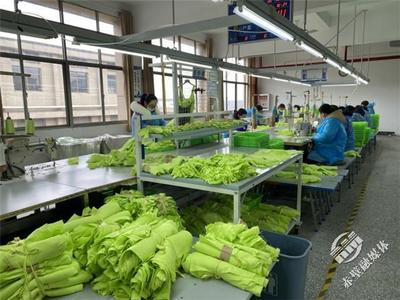 新春新氣象，赤壁服裝企業(yè)設(shè)計(jì)先行，全力沖刺“開(kāi)門紅”